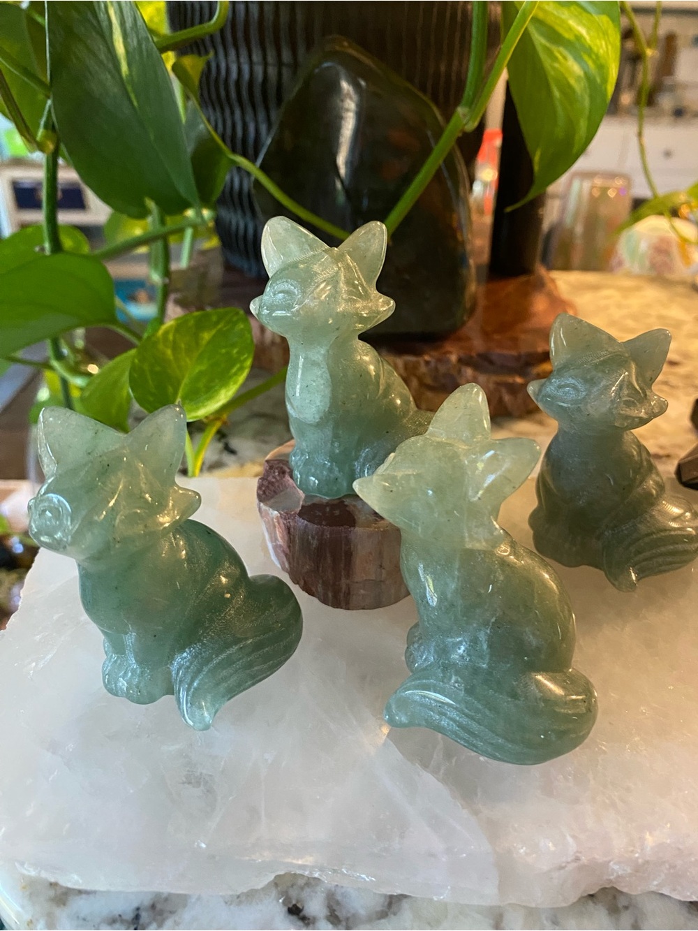 🦊💚 Who needs a little more luck in their life?